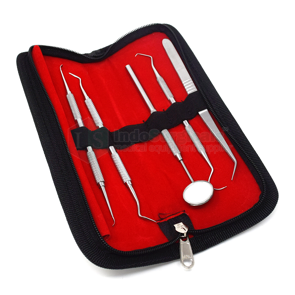 Oral Care Dental Tool Kit Set of 5 Supplier