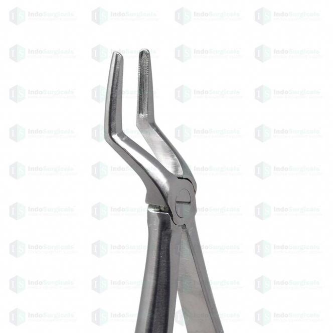 Upper Roots #51A Dental Extraction Forceps Manufacturer, Supplier & Exporter