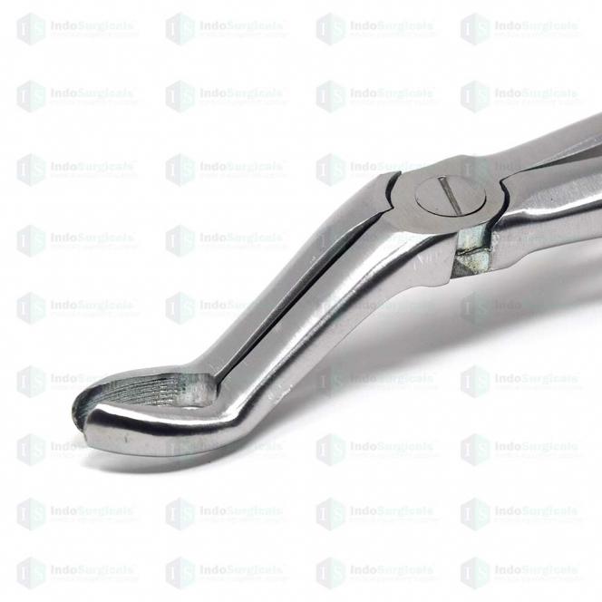 Upper Third Molars #67A Dental Extraction Forceps Manufacturer