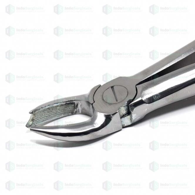 Upper Molars Right (Cowhorn) #89 Dental Extraction Forceps Manufacturer