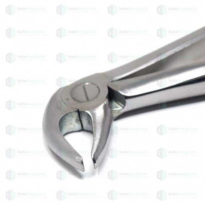 Lower Premolars #13 Dental Extraction Forceps Manufacturer