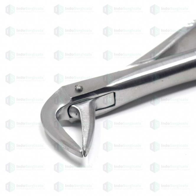 Lower Roots #74 Dental Extraction Forceps Manufacturer