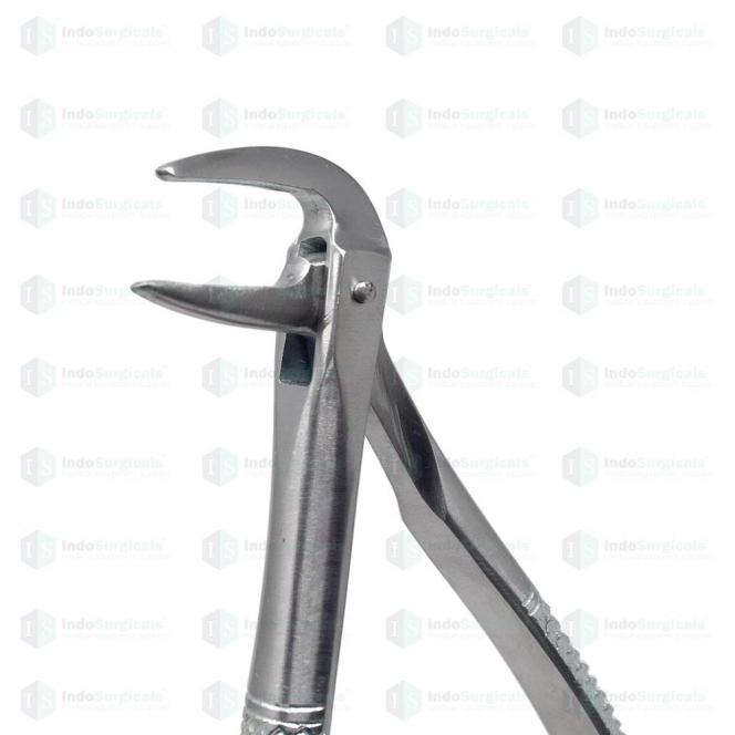 Lower Roots #74 Dental Extraction Forceps Manufacturer, Supplier & Exporter