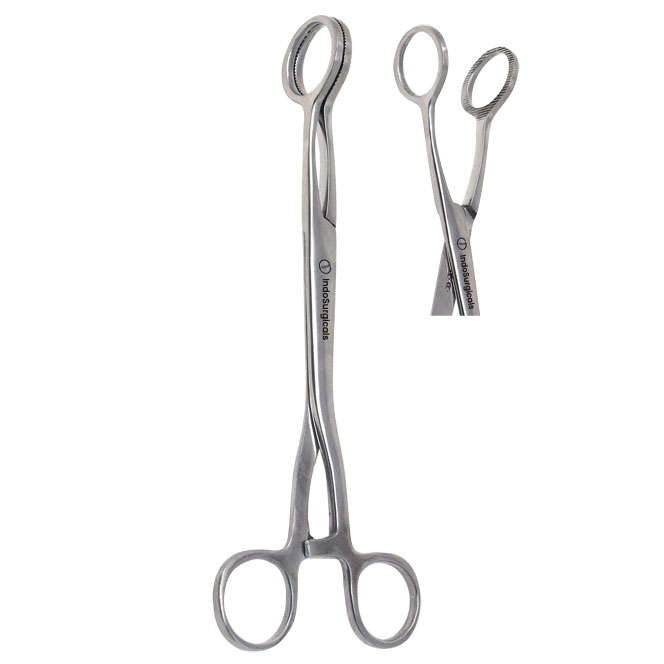 Collin Tongue Holding Forceps Manufacturer, Supplier & Exporter
