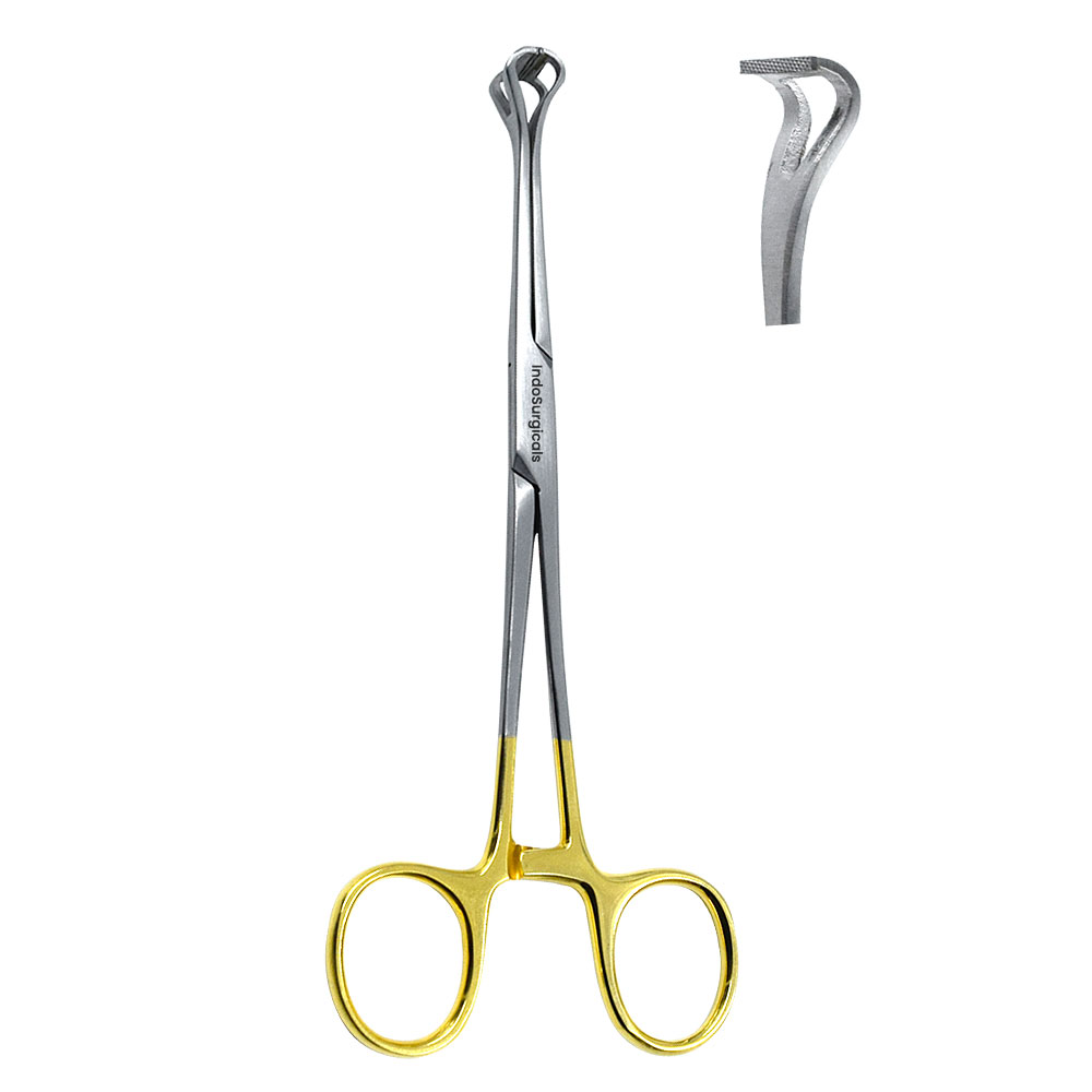 TC Babcock Forceps Supplier