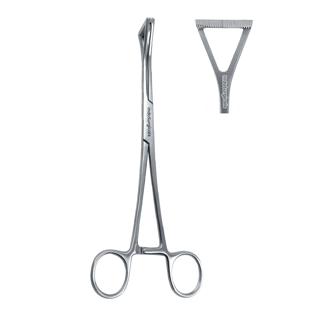 Duval Lung Holding Forceps Supplier