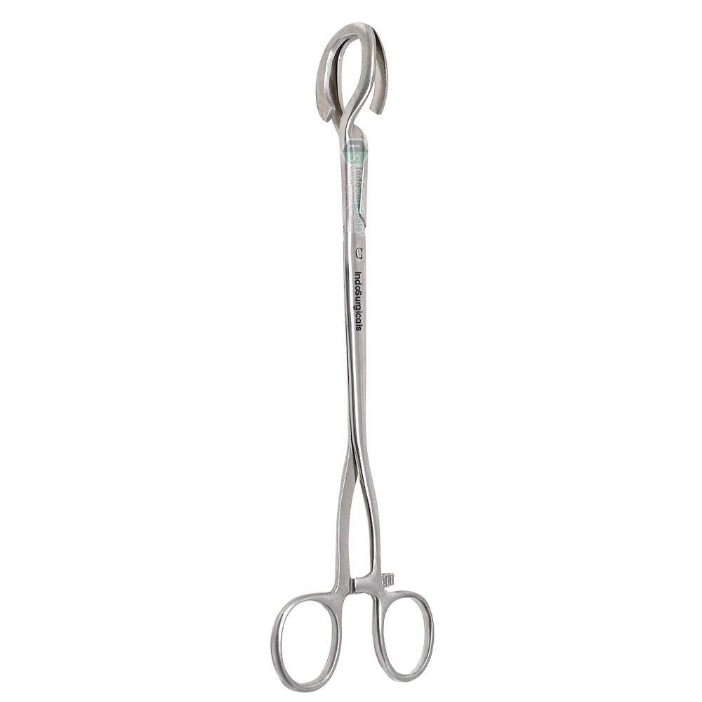Darting Uterus Holding Forceps, 10